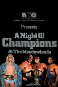 Poster NWA Night of Champions