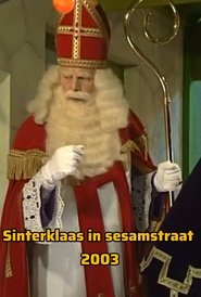 Sinterklaas in Sesamstraat 2003: Pieter de vreemdeling