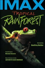 Tropical Rainforest постер