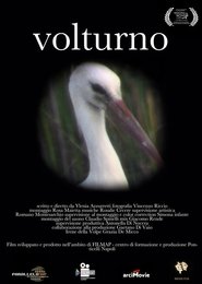 Poster Volturno 1970