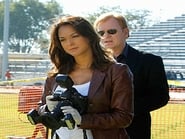 Imagen CSI: Miami 9x14