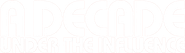 A Decade Under the Influence Logo