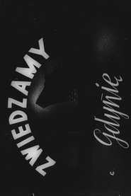 Zwiedzamy Gdynie