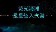【地球 海洋】荧光海滩，星星坠入大海