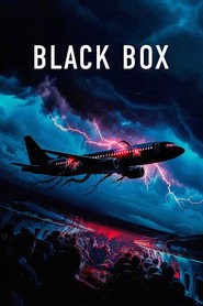 Black Box (Flight 298) постер