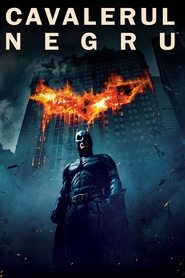 Image The Dark Knight (2008)