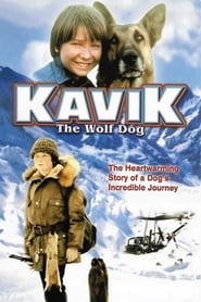 Kavik, der Schlittenhund постер