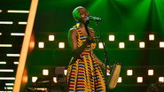 The Blind Auditions 5