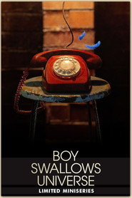 Boy Swallows Universe Limited Series 4