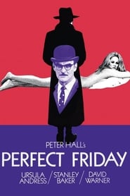 Perfect Friday постер