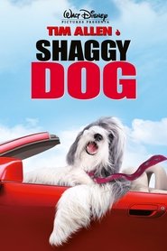 watch Shaggy Dog - Papà che abbaia non morde now