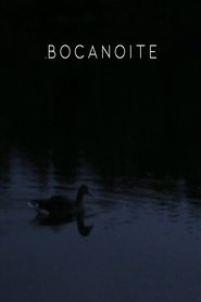 Poster Bocanoite 2013