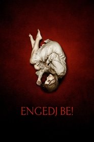 Engedj be! (2010)