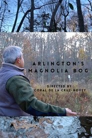 Arlington’s Magnolia Bog
