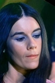 Holly Bush Holly Bush