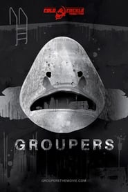Groupers (2019)