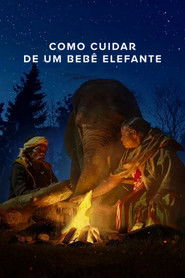 Como Cuidar de um Bebê Elefante