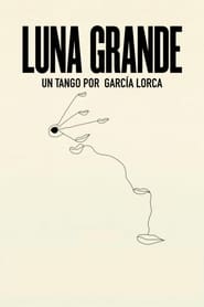 Luna grande 2017