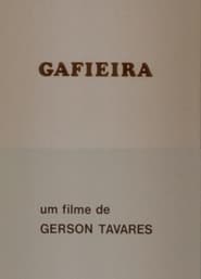 Gafieira