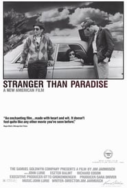 Stranger Than Paradise постер