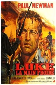 Regarder Luke la main froide Film En Streaming  HD Gratuit Complet