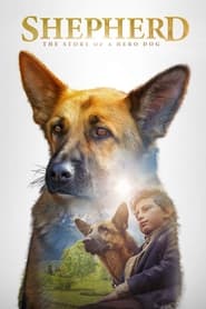 Shepherd: The Hero Dog 2020 Δωρεάν απεριόριστη πρόσβαση