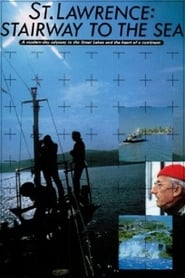 Poster Saint-Laurent : escalier vers la mer