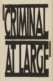 Poster A Criminal at Large