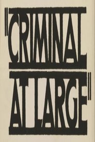Poster A Criminal at Large 1939