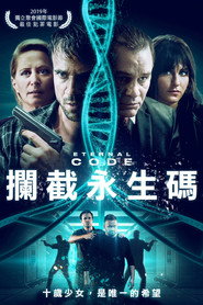 永恒代码