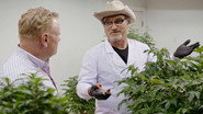 Episode 1: The Buds are Back in Town