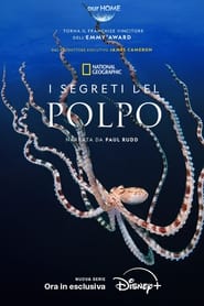 I segreti del polpo