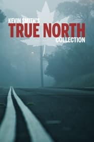 True North - Saga en streaming
