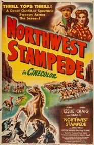 Northwest Stampede Netistä ilmaiseksi Northwest Stampede Netistä ilmaiseksi
