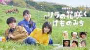 リラの花咲くけものみち