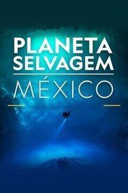 Poster Mexico Untamed 2021