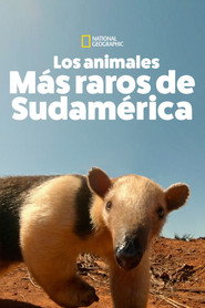 Los Animales Más Raros de Sudamérica