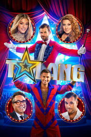 Sweden's Got Talent poster