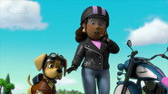 Paw Patrol: Patrulla de Cachorros - Episodio 39: Episodio 39