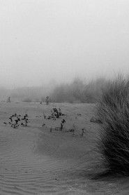 Sea Concrete Human — Malfunctions #1