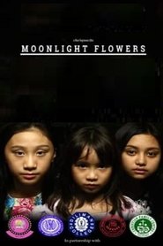 Moonlight Flowers Moonlight Flowers