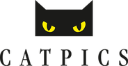 Catpics