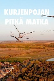 A Young Crane's Long Journey