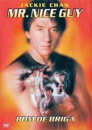 Assistir Mr. Nice Guy - Bom de Briga online