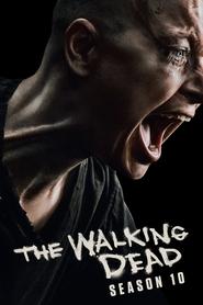 The Walking Dead Season 10 Episode 16 HD