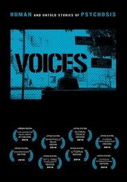 Poster Voices 2013