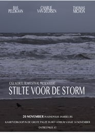 Poster Stilte voor de Storm 2017