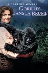 Film Gorilles dans la Brume en streaming
