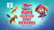 Rescue Knights: Pups Save the Baby Dragons