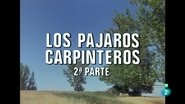 Episode 42